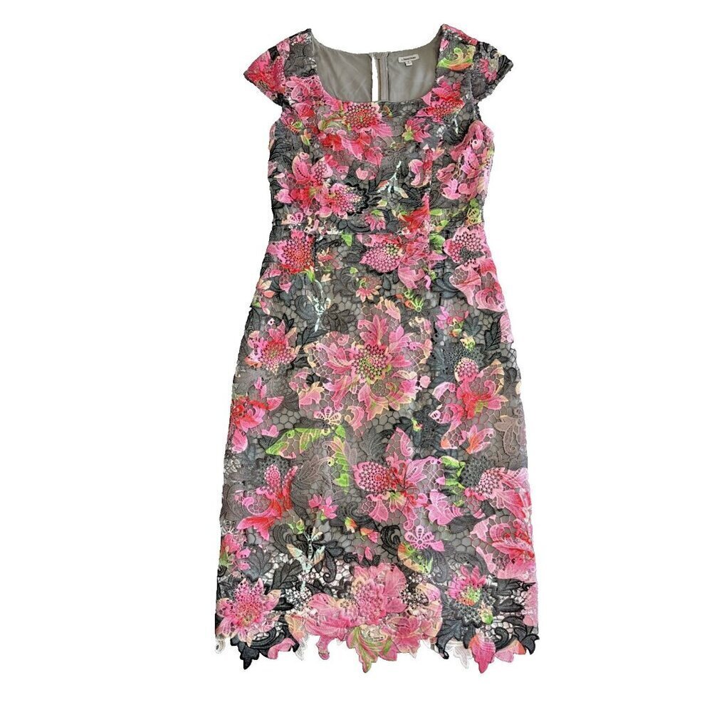 J. Peterman Pink Gray Lace Chromatic Dress Floral Medi Zip UP  Women’s Size 4